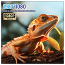 Horlat 4K projector 64GB storage showing native 1080P Full HD display quality

