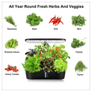 Hydroponic pods close-up – seedlings sprouting in water-based growing system