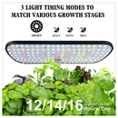 Smart indoor garden with LED grow light – herbs at harvest stage