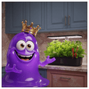 Glimbo King presenting the smart hydroponics growing system